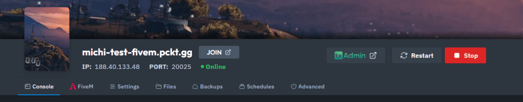 FiveM txadmin