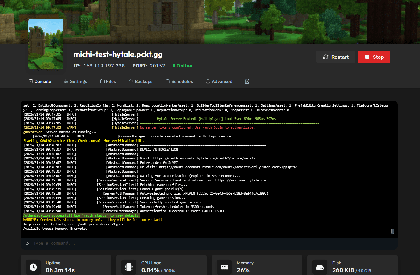 Hytale Auth Guide 7